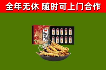 滨城区回收冬虫夏草价格